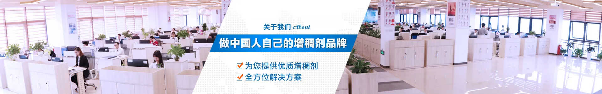 中联邦企业资质与研发实力